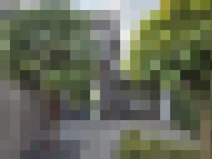 Hemelrijk 17 Vessem thumbnail 12