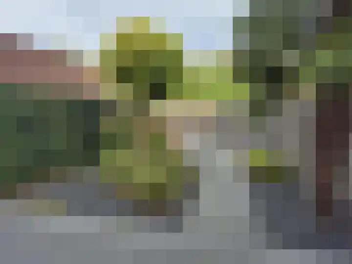 Hemelrijk 17 Vessem foto 2