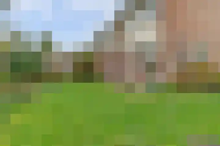 Hemelrijk 25 Elst thumbnail 28