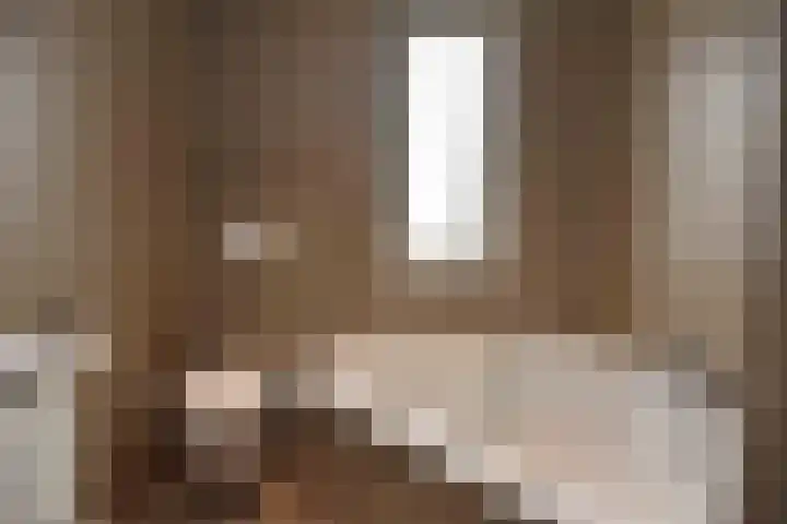 Hemelrijk 4 Welsum thumbnail 16
