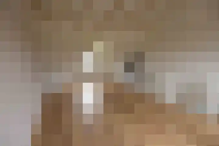 Hemelrijk 4 Welsum thumbnail 19