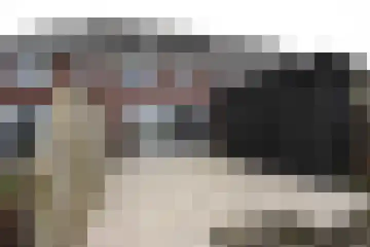 Hemelrijk 4 Welsum thumbnail 20