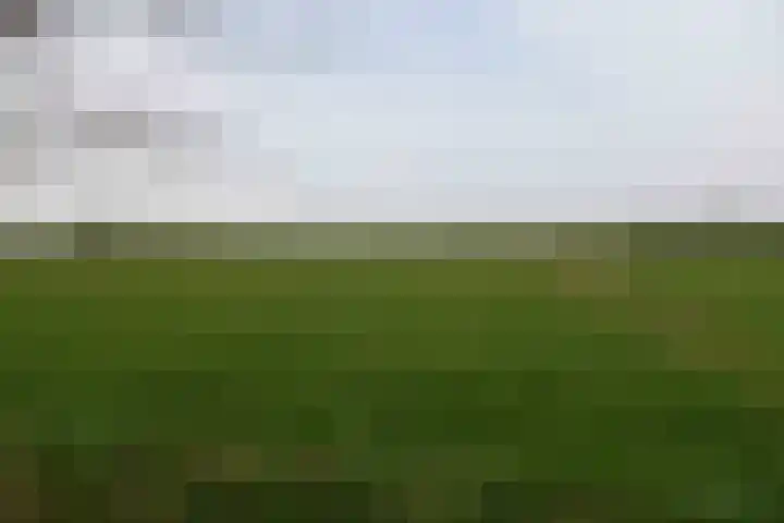 Hemelrijk 4 Welsum thumbnail 21