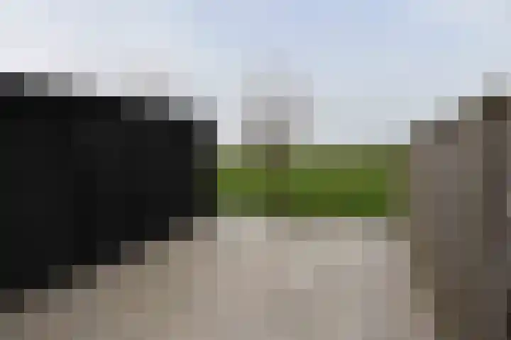 Hemelrijk 4 Welsum thumbnail 22