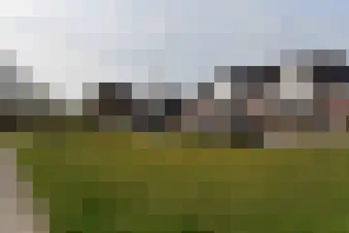 Hemelrijk 4 Welsum thumbnail 26