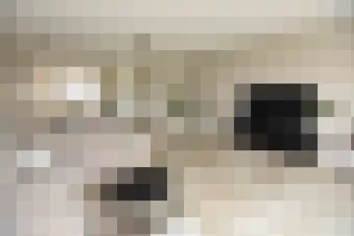 Hemelrijk 4 Welsum thumbnail 4