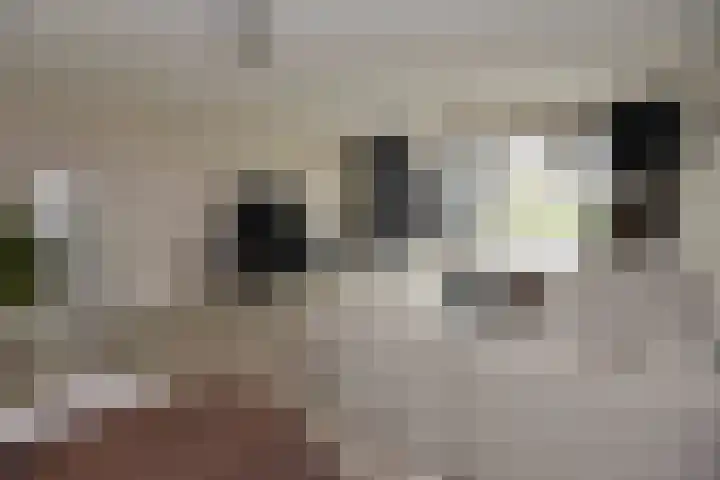 Hemelrijk 4 Welsum thumbnail 5