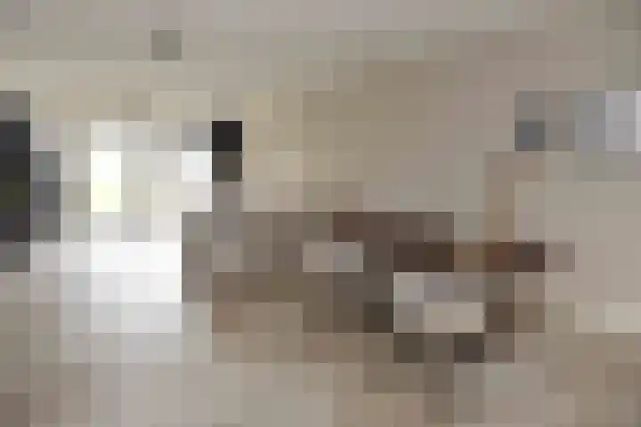 Hemelrijk 4 Welsum thumbnail 6