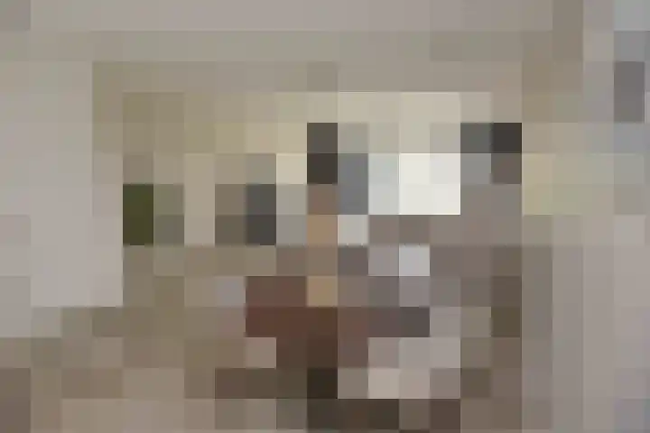 Hemelrijk 4 Welsum thumbnail 7