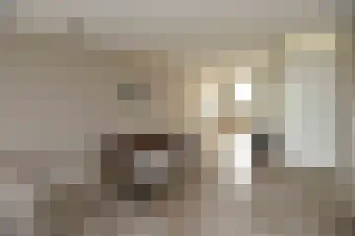 Hemelrijk 4 Welsum thumbnail 8
