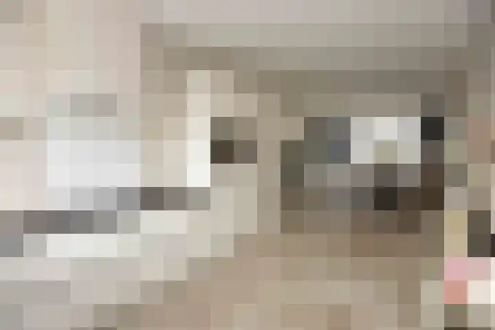 Hemelrijk 4 Welsum thumbnail 9