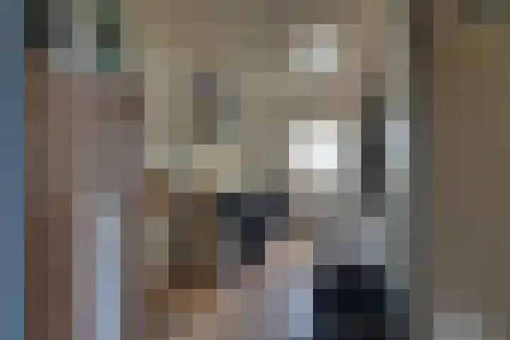 Hemelrijken 14 Eindhoven thumbnail 13