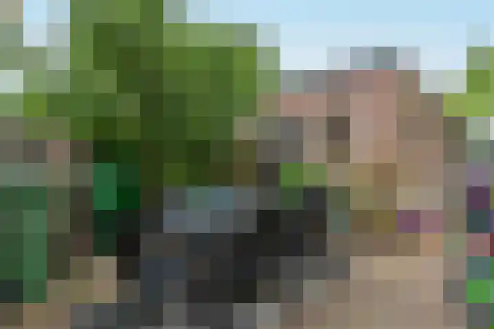Hemelrijken 14 Eindhoven thumbnail 15