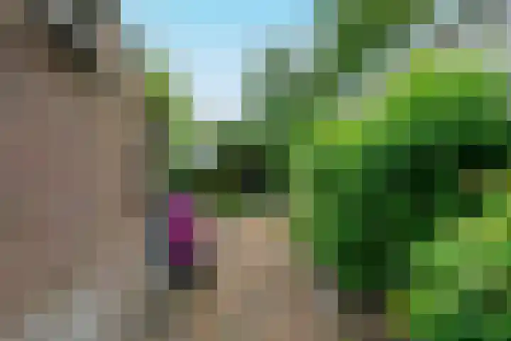 Hemelrijken 14 Eindhoven thumbnail 16