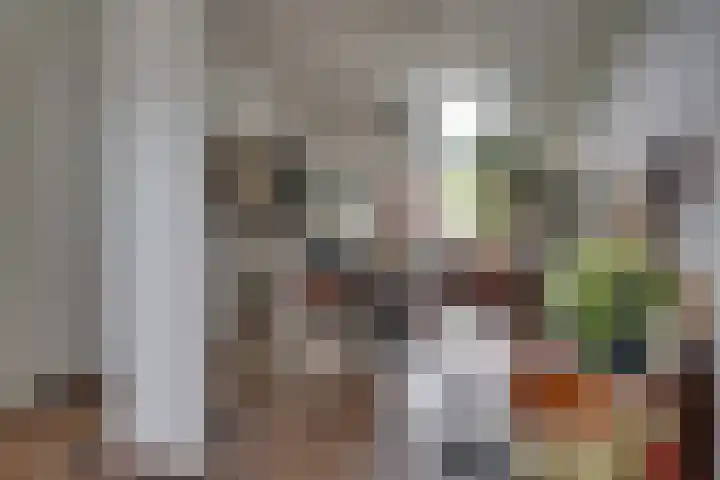 Hemelrijken 14 Eindhoven thumbnail 5