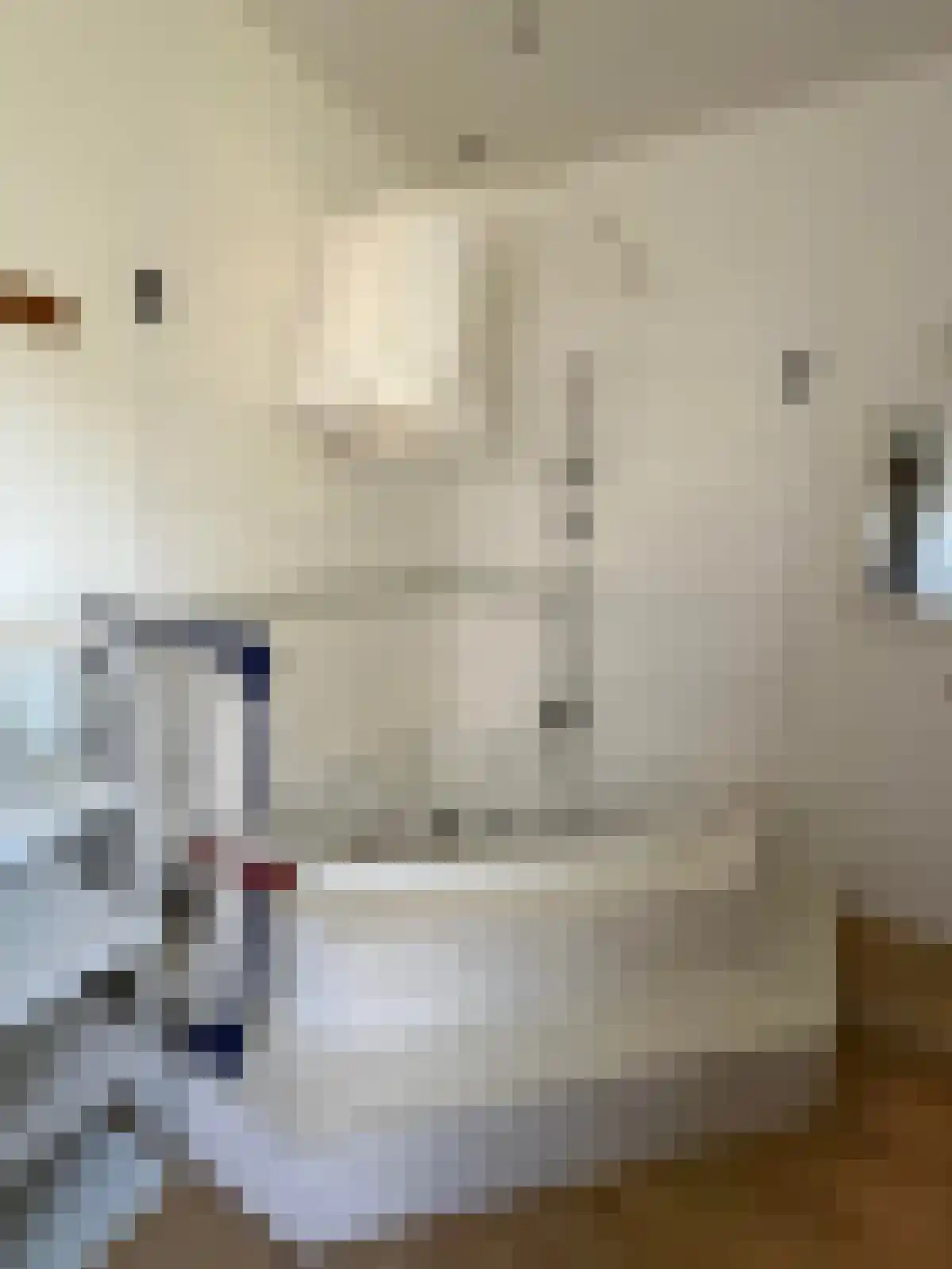 Hemelrijken Eindhoven thumbnail 4