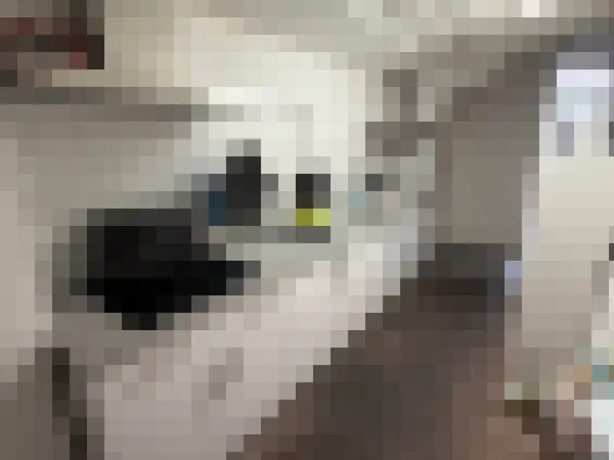 Hemelrijken Eindhoven thumbnail 5