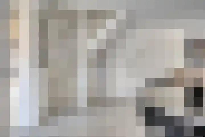 Hemelrijksestraat 36 Helmond thumbnail 8