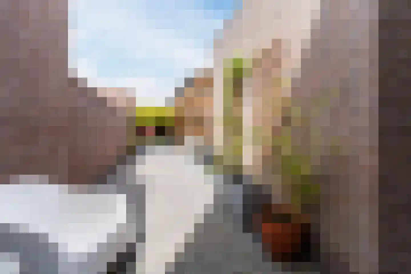 Hemelrijksestraat 86 Helmond thumbnail 24