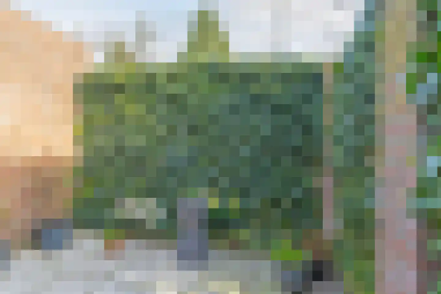 Hemelrijksestraat 87 Helmond thumbnail 6