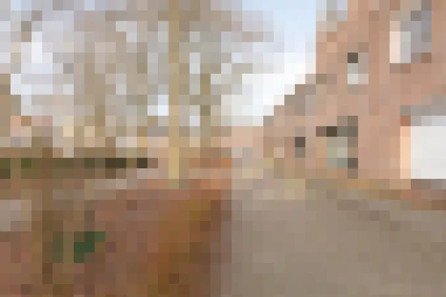 Hemelrijksestraat 87 Helmond thumbnail 8