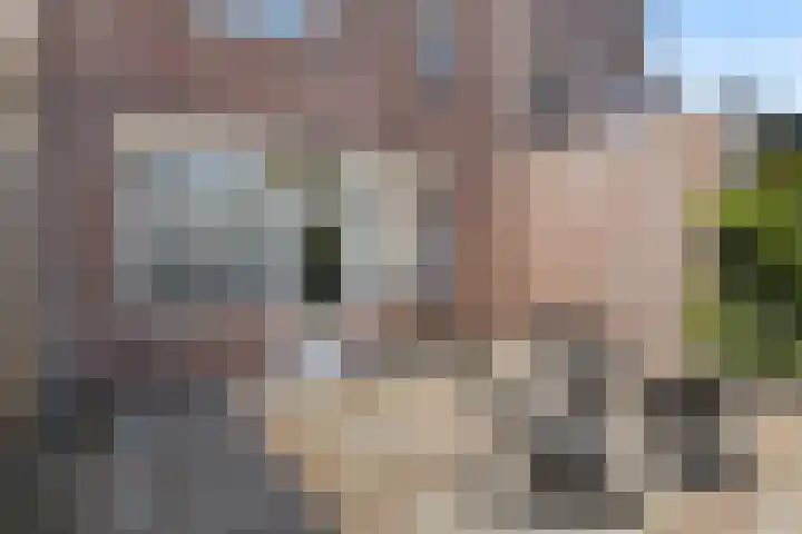 Hemelrijksestraat 89 Helmond thumbnail 25