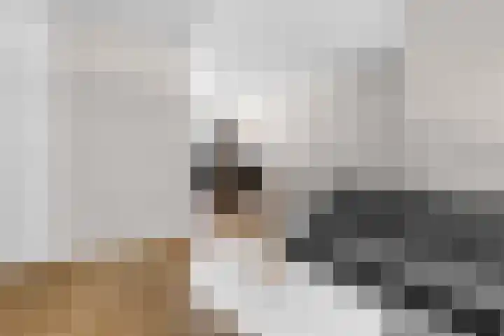 Hemelrijksestraat 89 Helmond thumbnail 5
