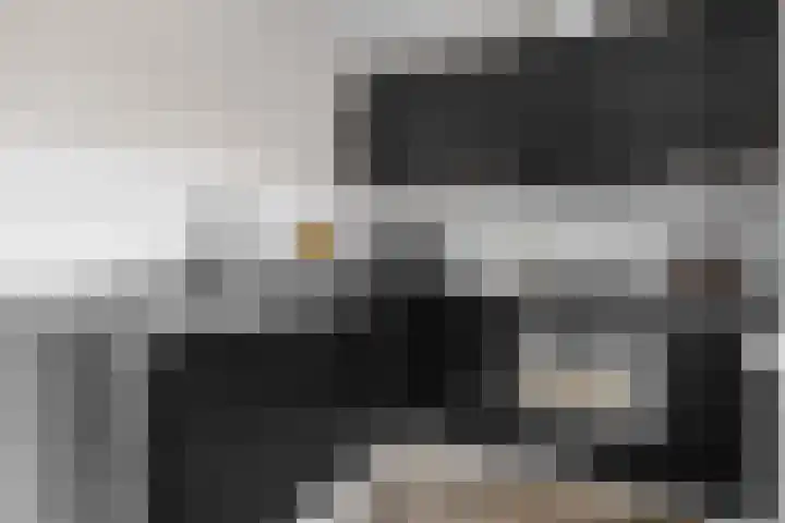 Hemelrijksestraat 89 Helmond thumbnail 9