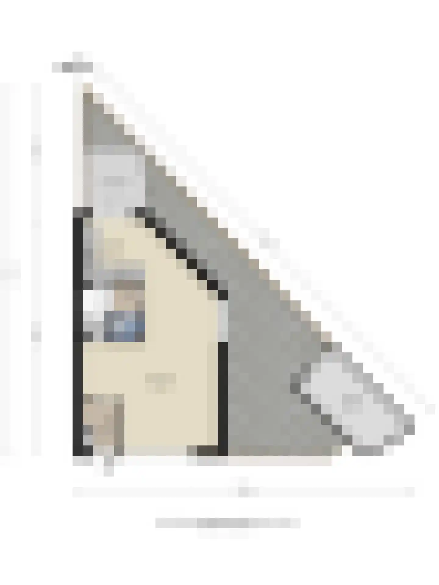 Hemelrijksestraat 91 Helmond thumbnail 35
