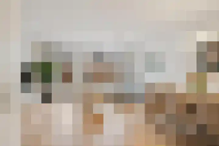 Hemelsblauw 32 Zoetermeer thumbnail 10