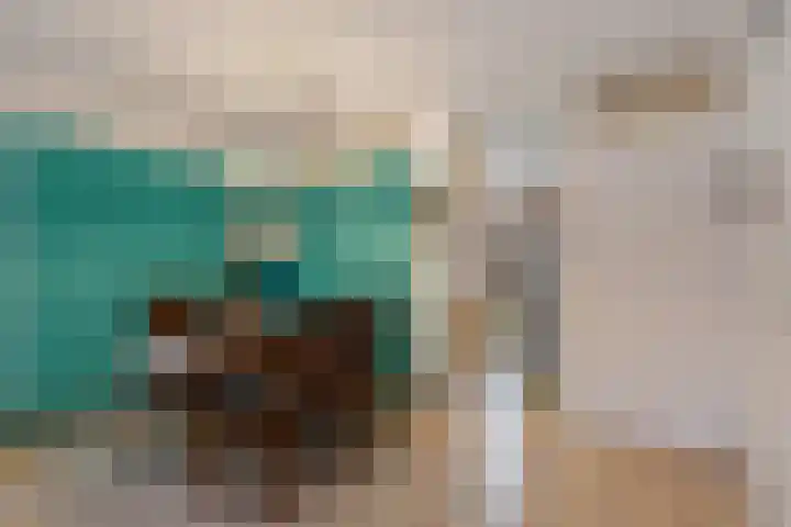 Hemelsblauw 32 Zoetermeer thumbnail 12