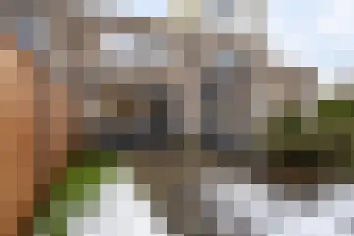 Hemelsblauw 32 Zoetermeer thumbnail 18