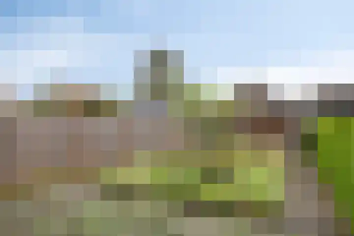 Hemelsblauw 32 Zoetermeer thumbnail 31