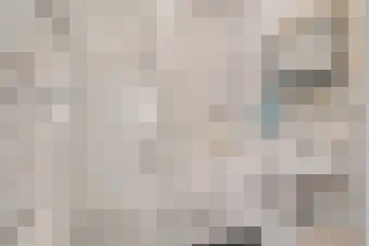 Hemelsblauw 32 Zoetermeer thumbnail 31