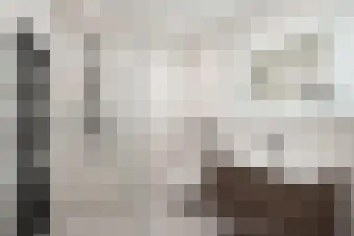 Hemelsblauw 32 Zoetermeer thumbnail 32