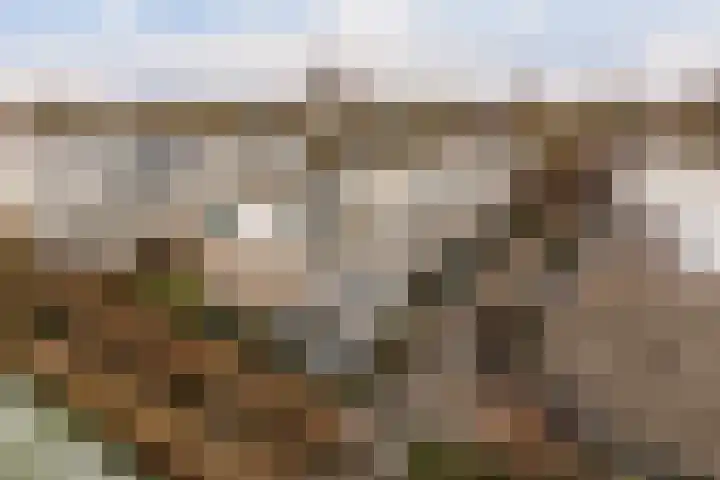 Hemelsblauw 32 Zoetermeer thumbnail 5