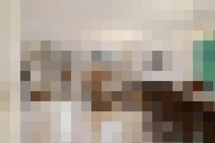Hemelsblauw 32 Zoetermeer thumbnail 9