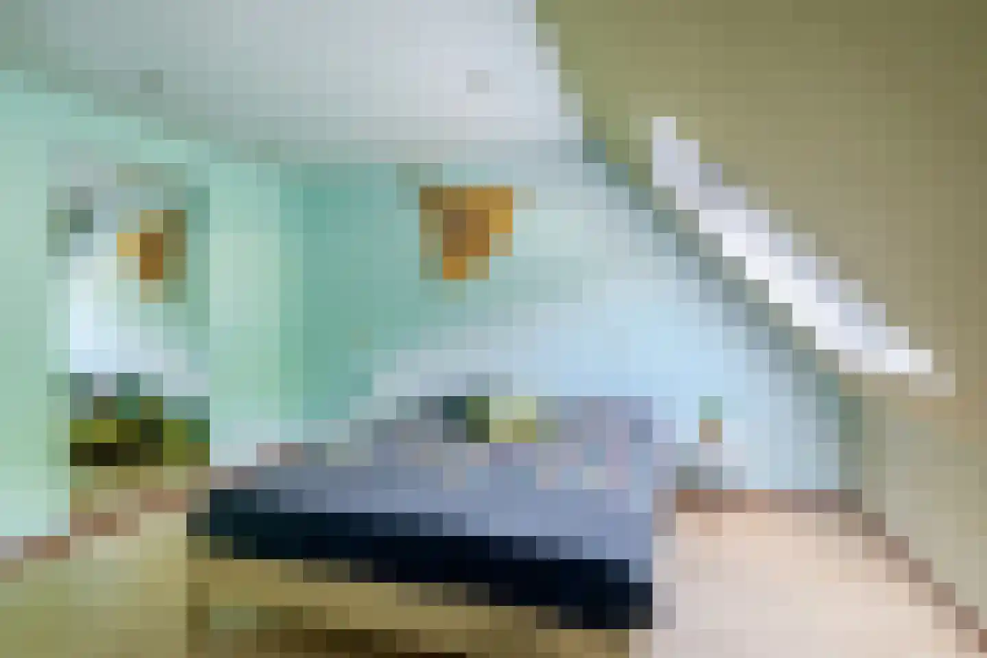 Hemelsblauw 33 Zoetermeer thumbnail 25