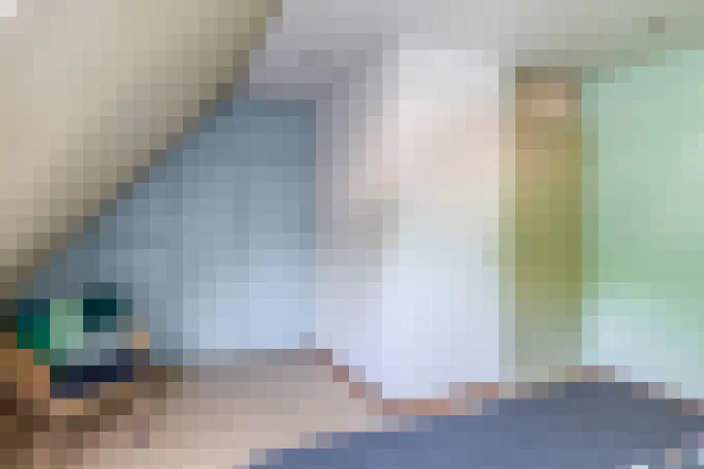 Hemelsblauw 33 Zoetermeer thumbnail 26