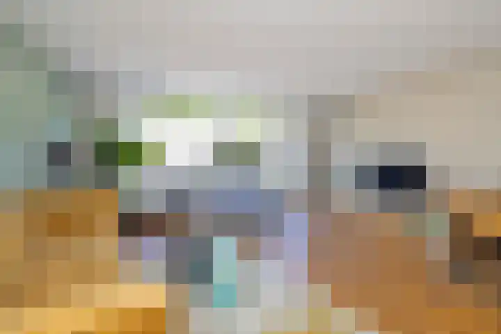 Hemelsblauw 35 Zoetermeer thumbnail 11