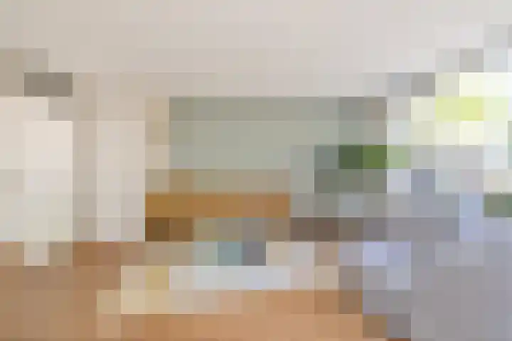 Hemelsblauw 35 Zoetermeer thumbnail 13