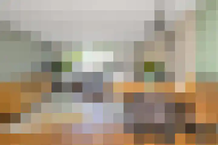 Hemelsblauw 35 Zoetermeer thumbnail 15
