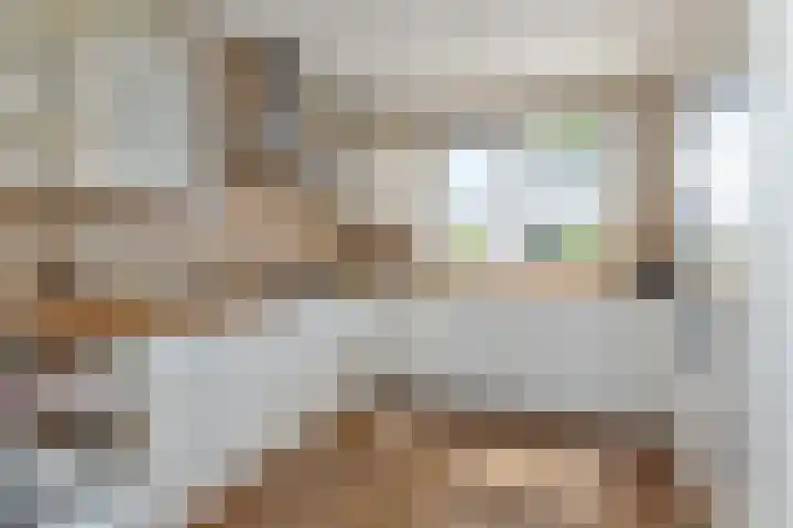 Hemelsblauw 35 Zoetermeer thumbnail 20