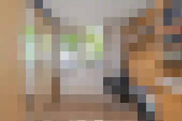 Hemelsblauw 35 Zoetermeer thumbnail 27