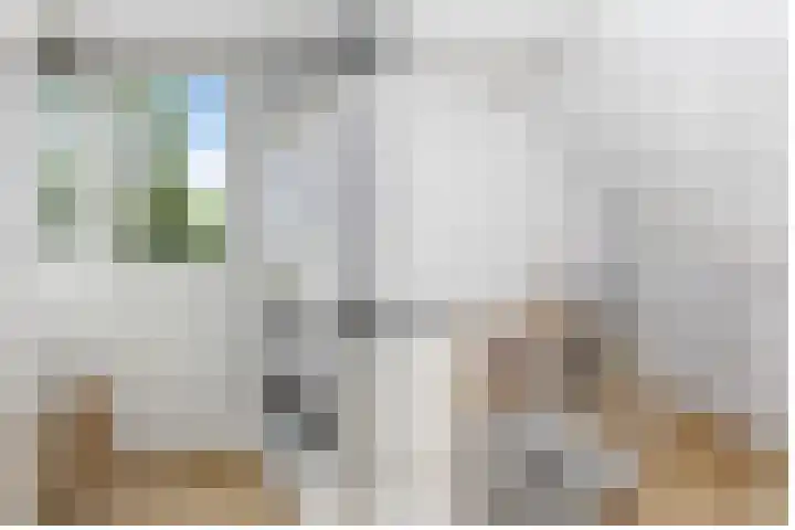 Hemelsblauw 35 Zoetermeer thumbnail 34