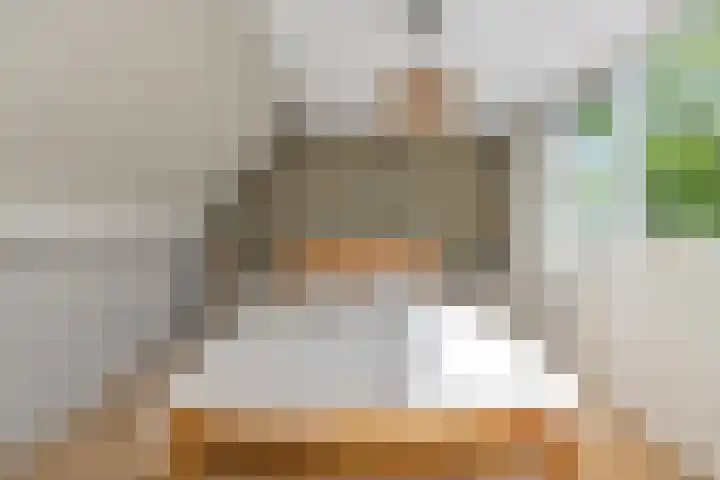 Hemelsblauw 35 Zoetermeer thumbnail 35
