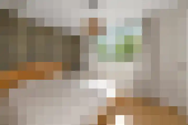 Hemelsblauw 35 Zoetermeer thumbnail 36