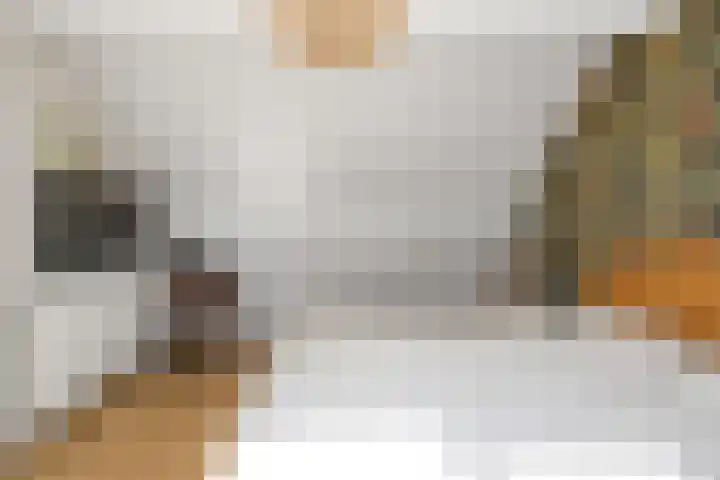 Hemelsblauw 35 Zoetermeer thumbnail 37
