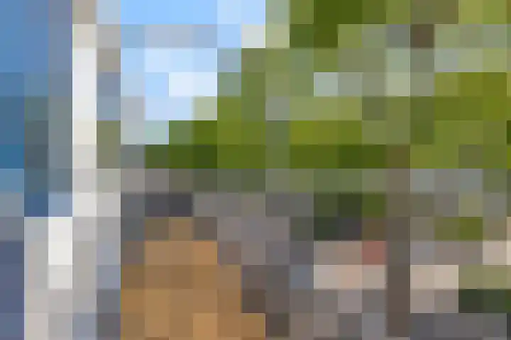 Hemelsblauw 35 Zoetermeer thumbnail 40