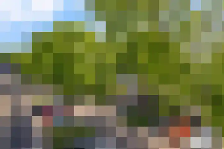 Hemelsblauw 35 Zoetermeer thumbnail 41